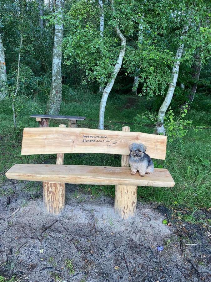 Stf Vandrarhem Blentarp Esterno foto