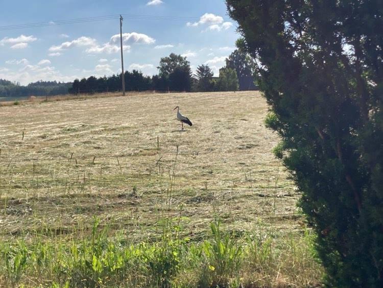 Stf Vandrarhem Blentarp Esterno foto