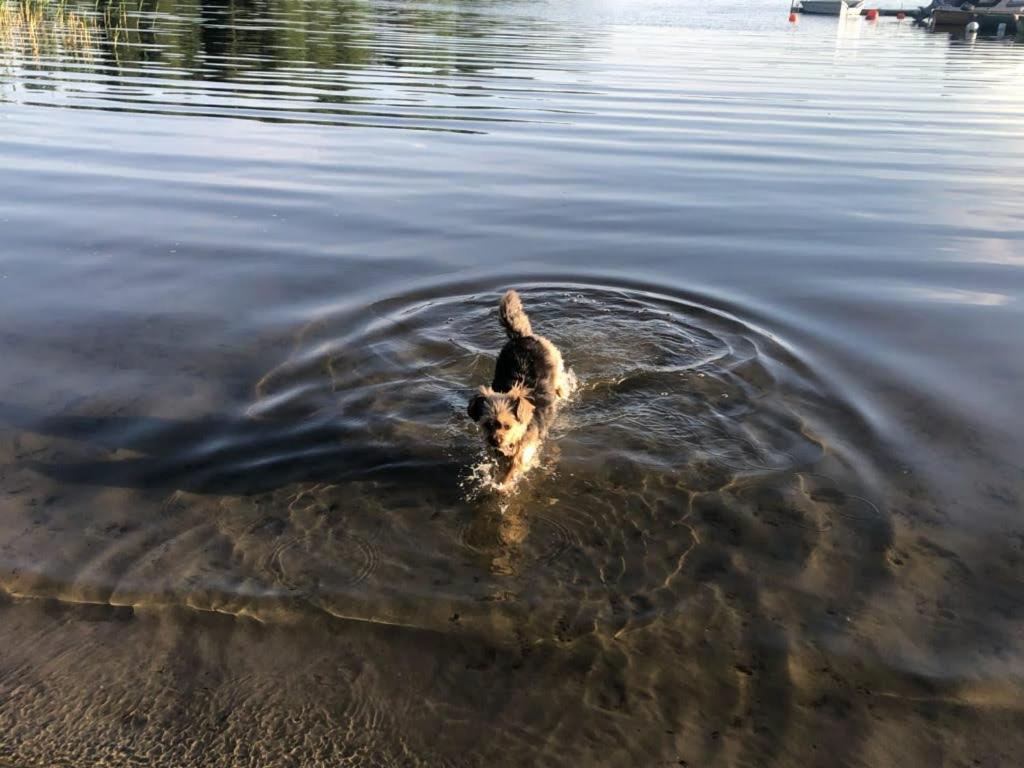 Stf Vandrarhem Blentarp Esterno foto